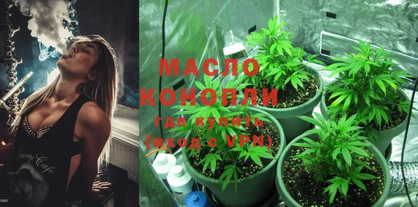 дмт Алексин