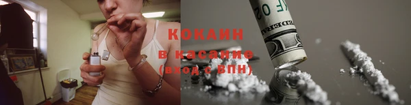 дмт Алексин