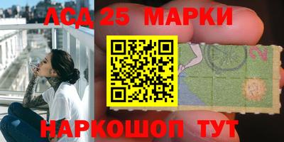 индика Бердск