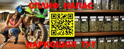 индика Бердск