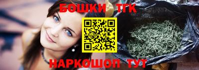 индика Бердск