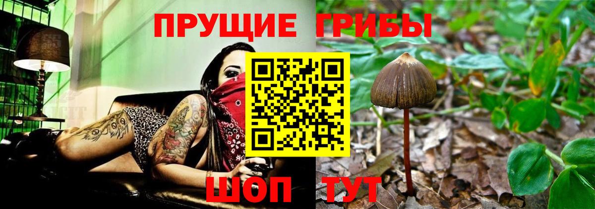 Петровск  Cocaine  Вход с VPN  ГАШИШ  Каннабис  МЕФ   Героин  Экстази 