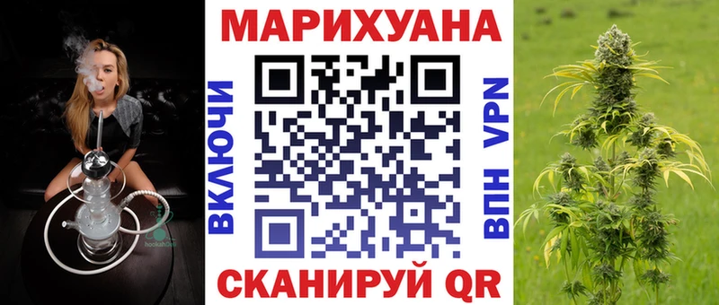 Канабис сатива  где можно купить наркотик  Петровск 